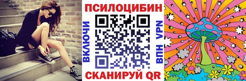Галлюциногенные грибы Cubensis  как найти закладки  Фрязино 