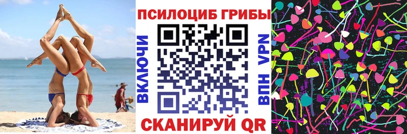 Псилоцибиновые грибы GOLDEN TEACHER Фрязино